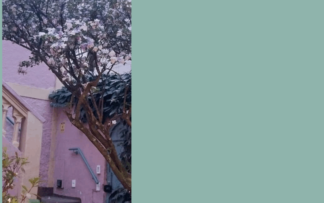 Sarau da Primavera 2025