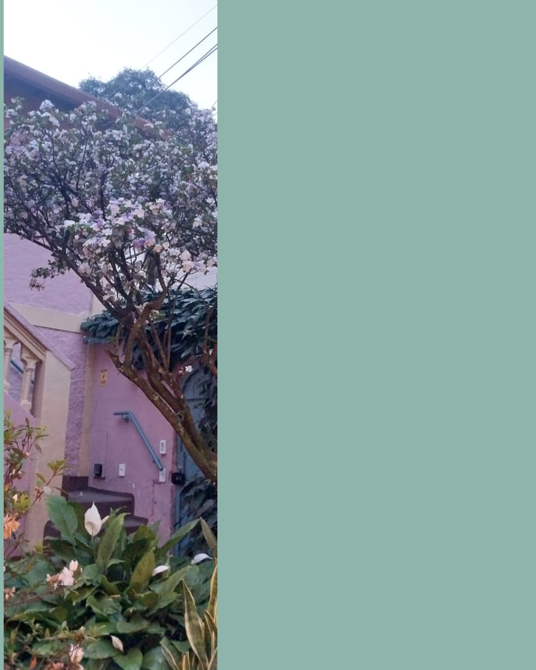 Sarau da Primavera 2025